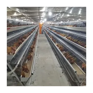 Venta caliente de alta calidad 200 Aves de Corral 3 o 4 capas Sistema de alimentación de jaula de pollo de engorde