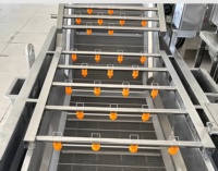 3M Bubble Groente- en Fruitreinigingsmachine voor groenteverwerkingsbedrijven, PLC-gestuurd, lage onderhoudskosten
