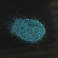Paillettes ultra-fines irisées de qualité professionnelle résistantes aux hautes températures 0,6 mm pour l'injection plastique et l'artisanat