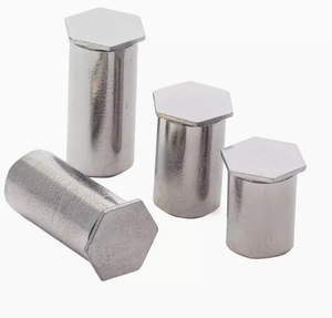 Trou <span class=keywords><strong>aveugle</strong></span> en acier inoxydable non standard pression rivetage goujon <span class=keywords><strong>pince</strong></span> écrou colonne pression rivetage écrou colonne - Product Image 2