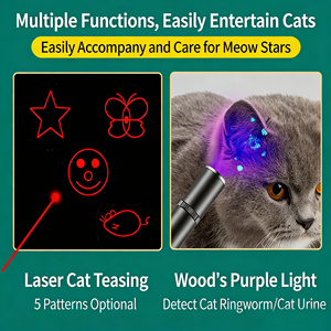 Puntero Infrarrojo Recargable por USB para Perros y Gatos, Puntero Multimodo con Luz UV para Detección de Hongos en la Piel, Juguete para Mascotas - Product Image 2