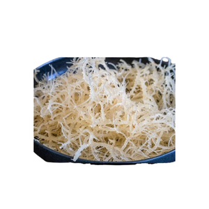 99 Gold Quality Dried Irish Sea Moss Exceptional <b>Seaweed</b> From Vietnam - Product Image 1
