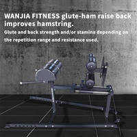 Multi Gym Equipment Sit up Bench Hip Abductor Back Exercise Machine Prone Roman Chair Glute Ham Developer GHD