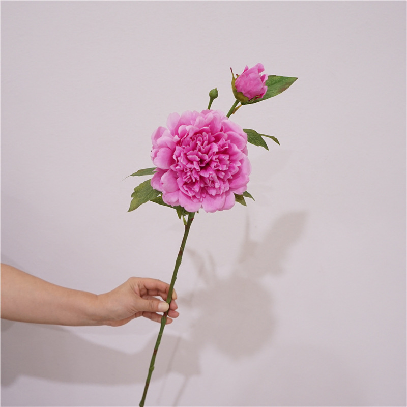 RosePink