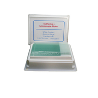 Prepared Adhesion Microscope Slide
