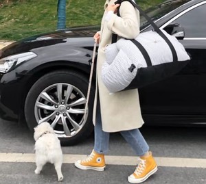 Lüks İşlevli köpek araba koltuğu ve seyahat çantası Booster evcil hayvan taşıyıcı çıkarılabilir Faux kürk kapak ile özel Logo - Product Image 3