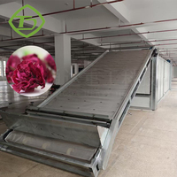 Groenten Droogruimte Industriële Hete Lucht Circulatie Kardemom Droogkamer Fruitdroger Machine