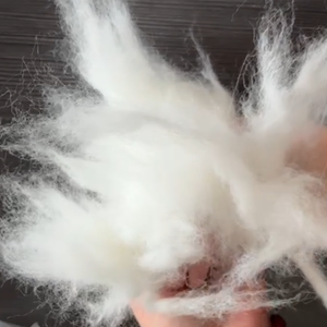 핫 세일 친환경 화이트 앙고라 토끼 섬유 탑 공장-방적용 탈모 하이 퀄리티 - Product Image 2