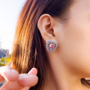 Pendientes de Botón de Latón con Diseño de Aguja, Estilo Francés, Lujo Ligero, Circonita Brillante, Fuegos Artificiales, Ultra Brillantes, Elegantes, para Fiesta - Product Image 4