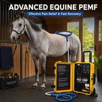 Tapis de thérapie magnétique PEMF professionnel pour chevaux Physio Magneto PEMF Loop – Appareil de thérapie musculo-squelettique magnétique PEMF