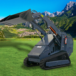 Minicargadora Compacta de Orugas Pequeñas con Motor de Operación Rápida para Maquinaria de Jardín - Product Image 4