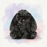 PLAYPOP Style JC Peluche Lapin Noir à Poils Longs Version Haute Édition Limitée avec Base Lestée Animal en Peluche de Luxe Gothique