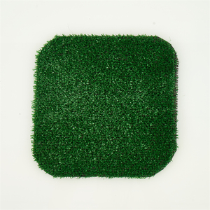 Sviluppo architettonico delle pareti esterne con pianta artificiale modello di casa sala giardino con erba artificiale - Product Image 1