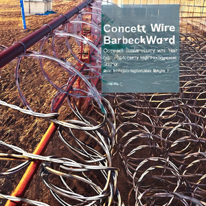 Fil de fer <span class=keywords><strong>barbelé</strong></span> double torsadé de haute qualité pour le marché sud-américain - Product Image 2