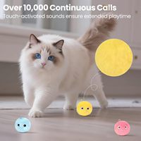 Chats Chatons Exercice Animaux Son Chats Interactif Kicker Cataire Balle Jouet avec Moelleux