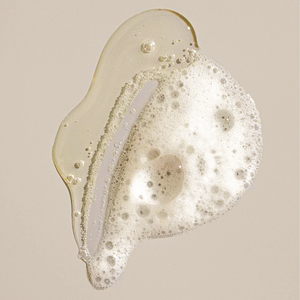 Champú Orgánico de Sudáfrica Sin SLS, Botella de Plástico, Extracto Líquido de Rooibos y Miel para Cuero Cabelludo Sensible, Marca Privada - Product Image 4