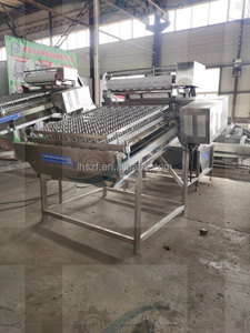 Machine de tri par taille en promotion pour ligne de production de homards, machine à retirer les coquilles de crevettes et de langoustines - Product Image 2