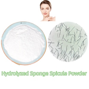 Ingrediente Naturale per la Cura della Pelle: <span class=keywords><strong>Polvere</strong></span> di Spicule di Spugna Idrolizzata per Formulazioni Cosmetiche - Product Image 2