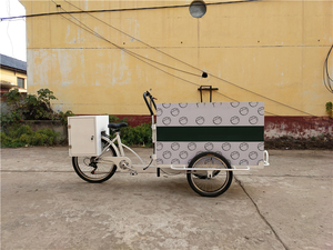 Meilleur prix électrique <span class=keywords><strong>solaire</strong></span> camions de crème glacée chariot de nourriture Tricycle vélo de crème glacée MobileTricycle congélateur vélo - Product Image 3