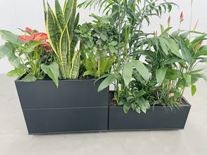 <span class=keywords><strong>Pot</strong></span> de fleurs en aluminium pour la décoration extérieure de la maison, jardin, assemblage en métal, grande taille - Product Image 6