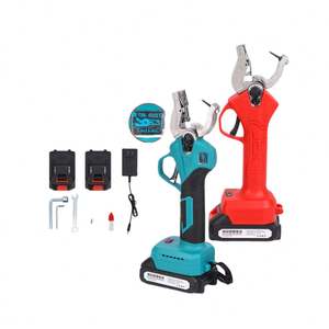 Appareils portables électriques pour l'installation d'étiquettes auriculaires pour animaux (bovins, ovins, porcs, truies) - Product Image 2