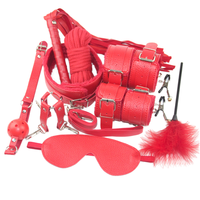 Nouveau kit d'exercices de Kegel pour adultes de 10 pièces sous le lit avec attaches, collier de serrage et plus encore - Ceinture en cuir 4 couleurs, jouet en peluche pour hommes et femmes