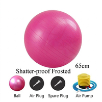 Balón de Pilates y Yoga de 65 cm, Grado Profesional, PVC Engrosado Antiexplosión, Equipo para Estudio de Fitness de Alta Gama, Accesorios de Yoga Estéticos