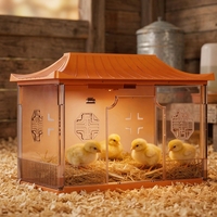 Boîte d'élevage de poussins en plastique HHD d'occasion avec contrôle précis de la température, également adaptée pour l'élevage de cailles et d'oiseaux