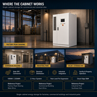 Kabinet ESS 100kW 233kWh Efisiensi PCS 98,5% Paket Penanggulangan Kebakaran Berbasis Level Dengan Sistem Penyimpanan Baterai Terintegrasi