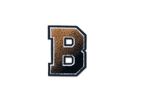 Patchs brodés en forme de brosse à dents, lettres universitaires, pour vestes Letterman, fabricant OEM personnalisé, vente en gros pour vêtements et vêtements de sport