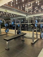 Fournisseurs d'équipements de fitness : Machine à poids libre robuste pour salle de sport, banc inclinable avec support de sécurité
