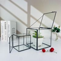 Terrarium de luxe en verre or/noir de grande taille pour décoration de table glaçure transparente Vase Art déco Design pour plantes