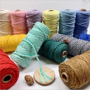 Wholesale Macrame Cord 4mm Twisted Cotton Rope Braid Cord Multi Color Thread For Macrame