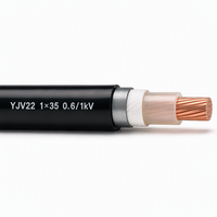 Câble blindé en cuivre XLPE à âme unique YJV22 35mm² 50mm² 0,6/1kV, câble d'alimentation souterrain de grande section