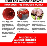Supplément pour animaux de compagnie bully max muscle builder suppléments de prise de poids pour chiens