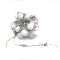 Source de lumière ponctuelle programmable en extérieur 30MM 50MM, couverture laiteuse, 12V 24V, pixel LED RGB, boule