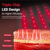 Attelle de Genou Portable à Thérapie par Lumière Rouge LED 660nm 850nm, à Triple Puce, avec Vibration Réglable, Rechargeable et Contrôle Intelligent