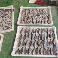 Four de séchage de type OEM pour la transformation de petits aliments pour poissons, en acier inoxydable 304