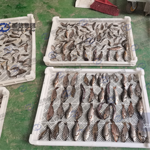 เครื่องอบแห้งแบบ OEM สำหรับปลาขนาดเล็ก  ทำจากสแตนเลส 304 สำหรับการแปรรูปอาหารทะเล - Product Image 3