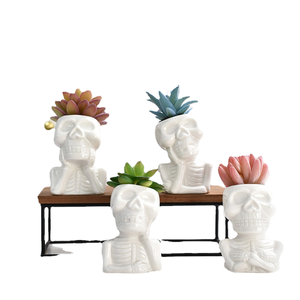 Succulent Potted Ceramic Glazed Flower <b>Pot</b> <b>White</b> Porcelain Cartoon Skull Design Personalized Eco-Friendly Indoor Outdoor Use - Product Image 1
