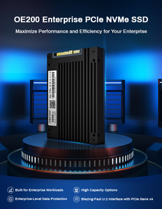 MemoryGhost OE200 2.5 PCIe4.0x4 U.2 SSD 3D ETLC Interno ad Alte Prestazioni 7400MB/s Lettura 6400MB/s per Laptop Desktop Server - Product Image 4