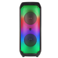 Haut-parleur de karaoké portable OEM double 8 pouces avec lumière flamme, meilleur caisson de basses pour karaoké, haut-parleur de fête 40W avec micro sans fil