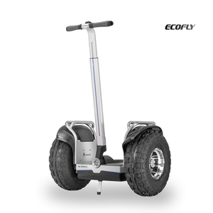 Nouveau design, trottinette auto-équilibrante à double capteur, planche à roulettes de plage de 19 pouces pour adultes et enfants, MTRS-DGL Self-bala - Product Image 4