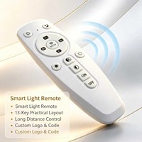Control Remoto Inalámbrico JCXK de 13 Teclas IR y RF433 para Lámparas LED Inteligentes, Personalizable OEM/ODM