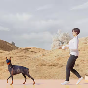 Réglable 3M Durable Nylon Rétractable Automatique Chien Laisse Simple Style Classique Chiot Extension Sangle - Product Image 5