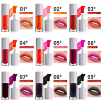 Nouvel Arrivage Gloss à Lèvres Liquide Minéral Professionnel Effet Gelée Teintée, Vente en Gros, Logo Personnalisé, Brillant, Transparent, Imperméable, Longue Tenue