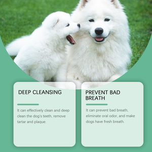 Polvo de Limpieza Dental para Mascotas, Gatos y Perros, 50g, Refrescante Natural del <span class=keywords><strong>Aliento</strong></span>, Eliminador de Placa y Sarro para el Cuidado Bucal de las Mascotas - Product Image 6