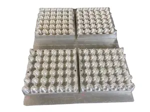 Pulp Mould Packing Mould For Recycled Moulded Pulp Packaging Egg Tray Compostable Paper Pulp Tray