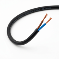 Kabel Listrik Overhead NewHope H03VV-F AC 250V VDE Konduktor Tembaga 2-inti Terpilin 18 AWG Berisolasi PVC Gulungan Terpilin