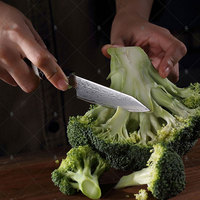 Coffret de 10 couteaux de cuisine professionnels japonais KEENHOPE en acier Damas, 67 couches, cœur VG10, couteau de chef Santoku, manche octogonal en résine maillée